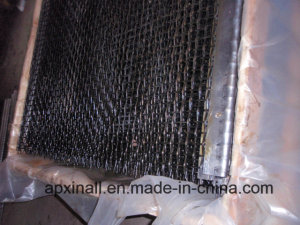 Stainless Steel Mine Sieving Wire Mesh with TUV (XA-CWM10)